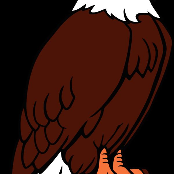 eagle07 Thumbnail