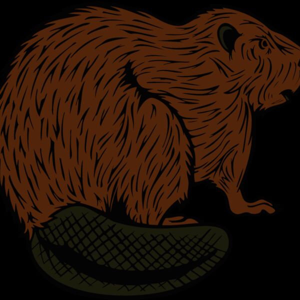 beaver18 Thumbnail