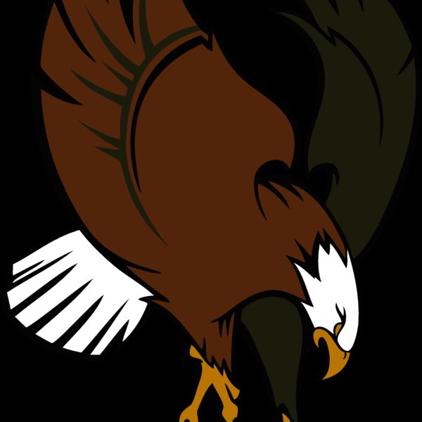 eagle13 Thumbnail