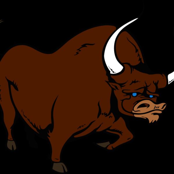 bull5 Thumbnail