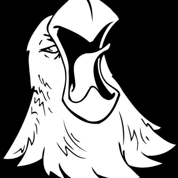 eagles2 Thumbnail