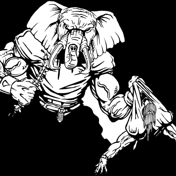 elfb06 Thumbnail