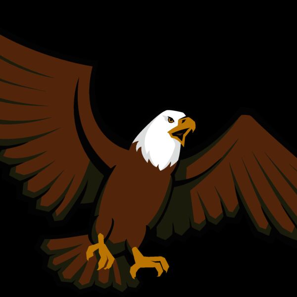 eagle06 Thumbnail