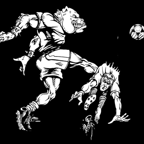 bdsr2 Thumbnail