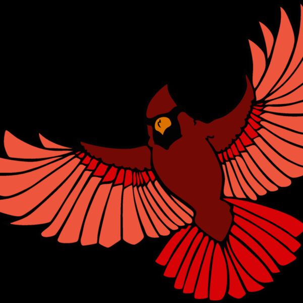 cardinal3 Thumbnail