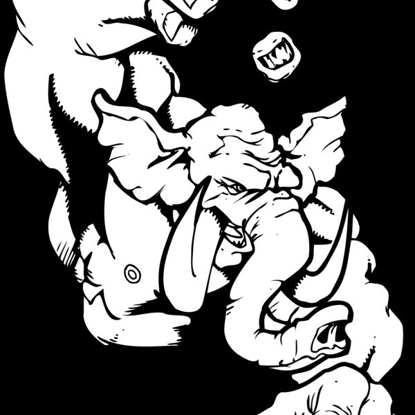 elephant holding ball Thumbnail