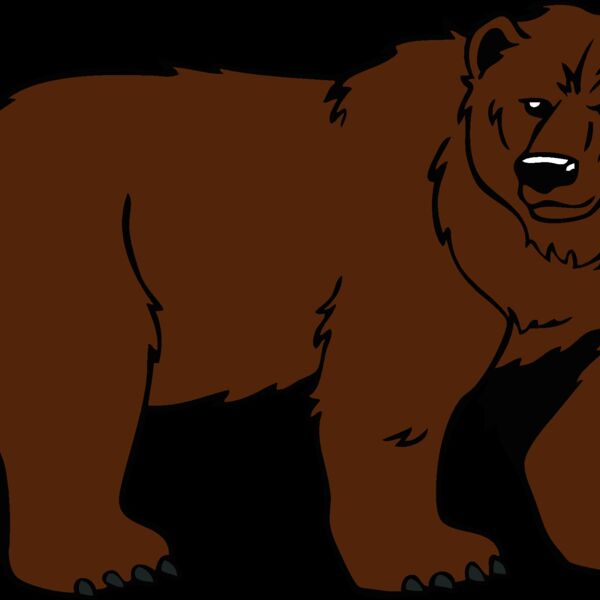 bear70 Thumbnail