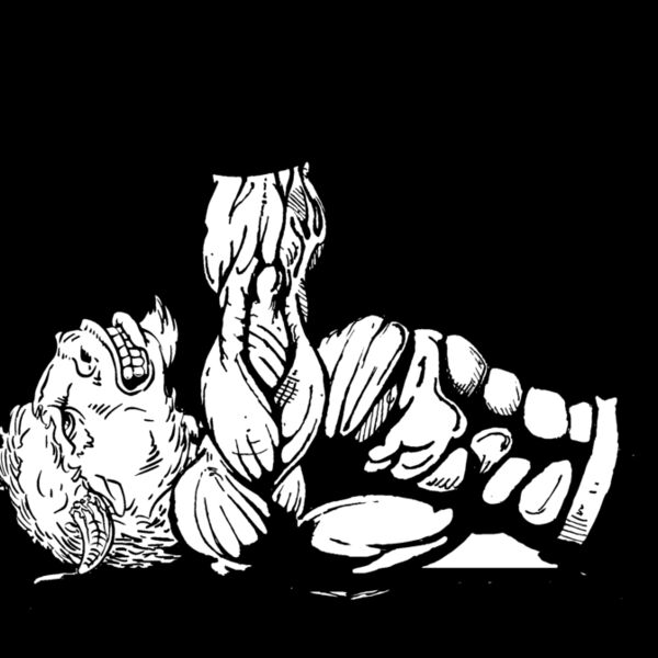 bfwt6 Thumbnail