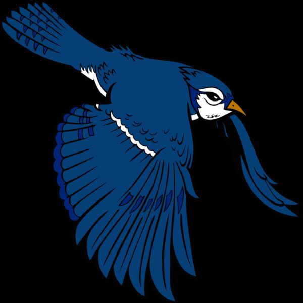 bluejay9 Thumbnail