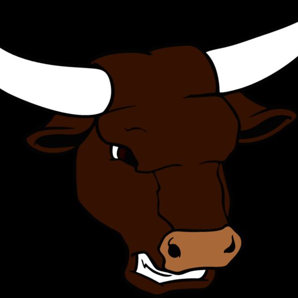 bullhd02 Thumbnail