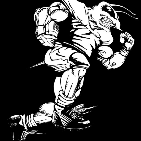befb02 Thumbnail