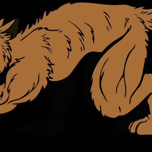 coyote2 Thumbnail