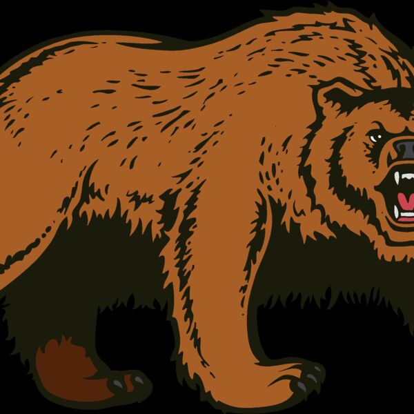 bear74 Thumbnail
