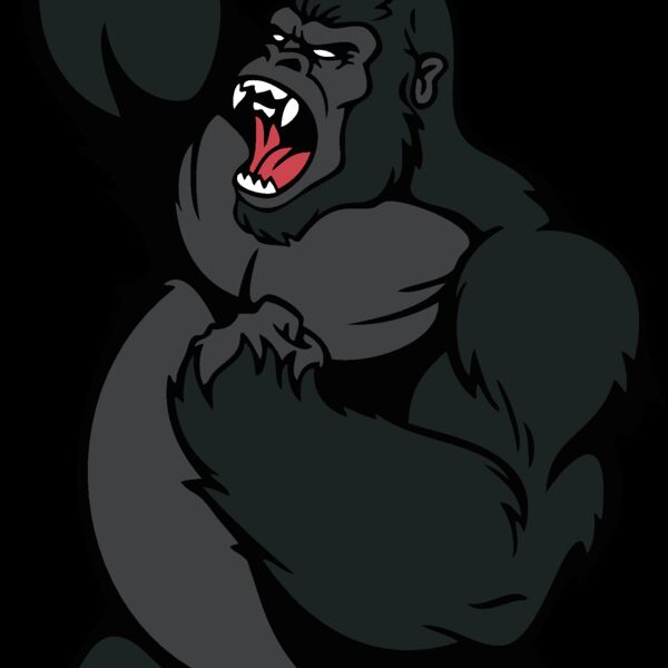 gorilla6 Thumbnail
