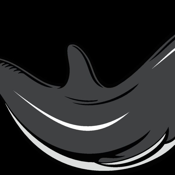 dolphin07 Thumbnail