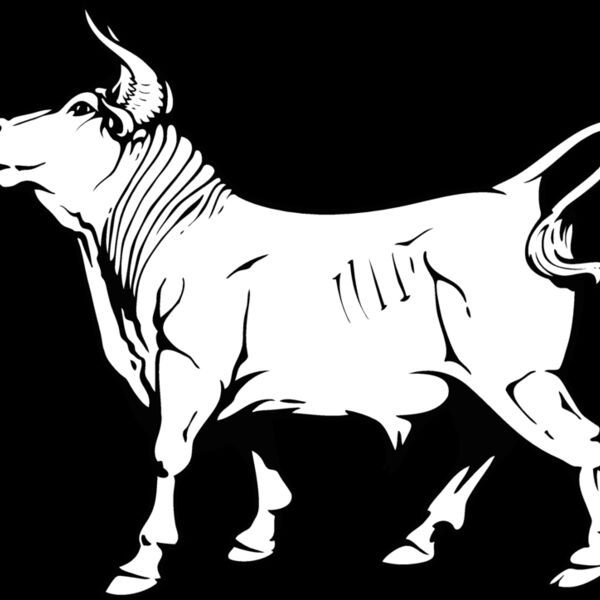 bull10v4bw Thumbnail