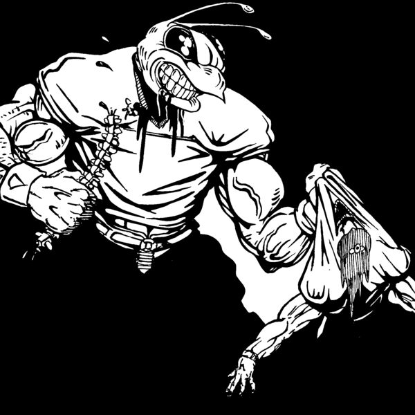 befb06 Thumbnail
