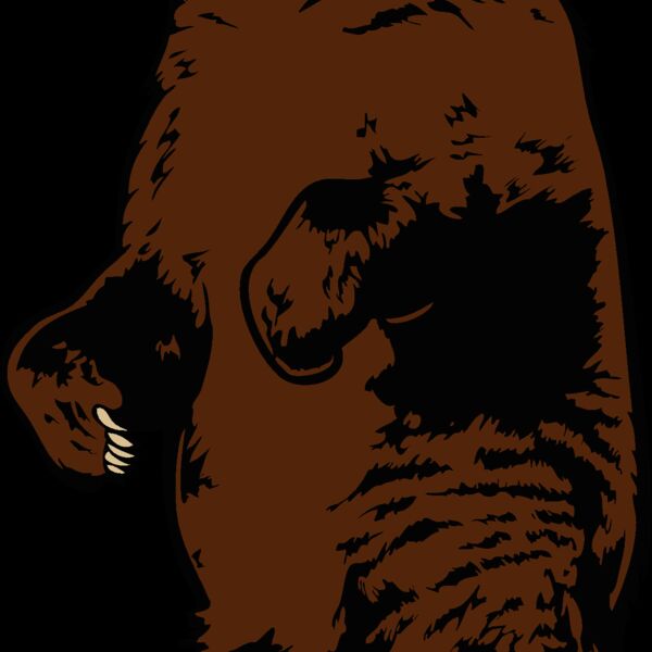 bear75 Thumbnail