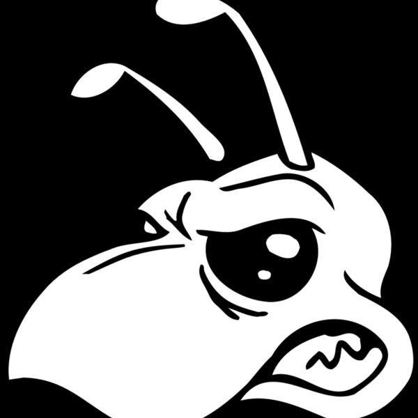 beehd2 Thumbnail