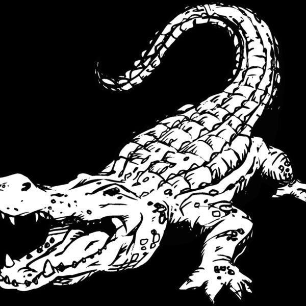 gator5 Thumbnail