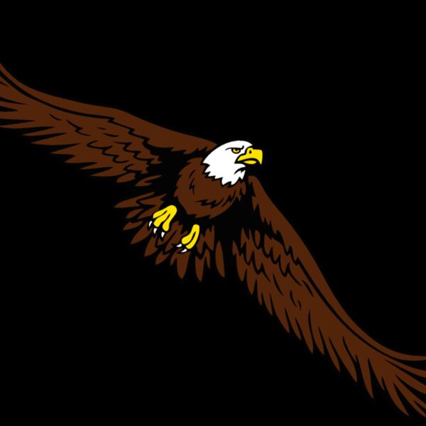 eagle03 Thumbnail