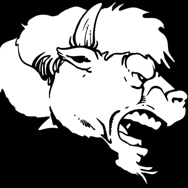 bsahd2 Thumbnail