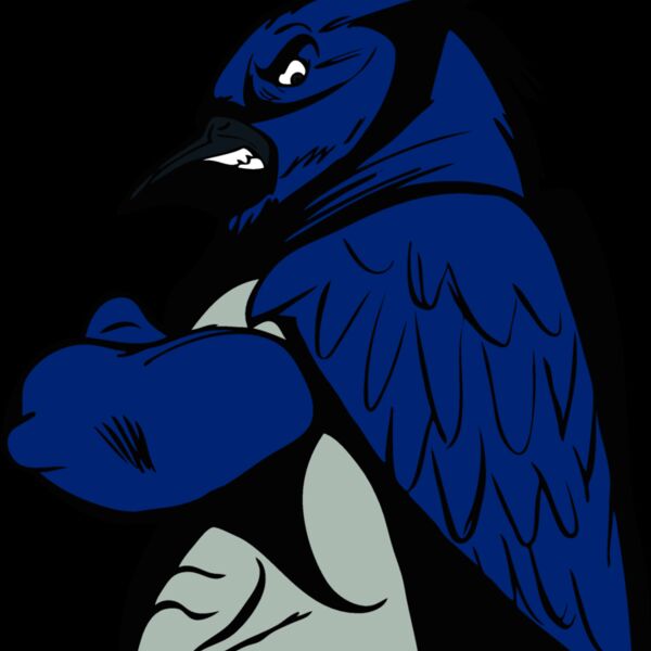 bluejay11 Thumbnail