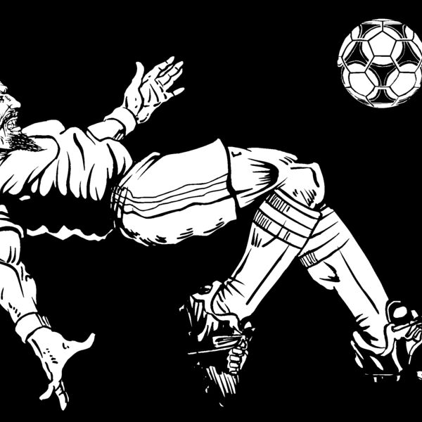 dvsr1 Thumbnail