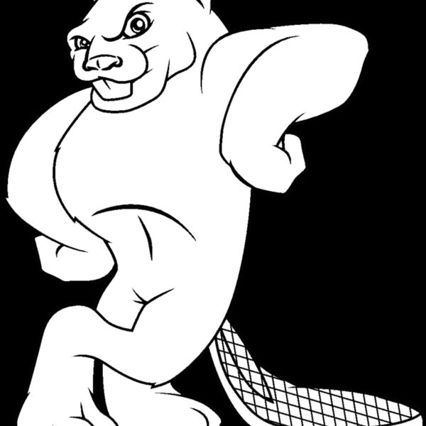 beaver27 Thumbnail