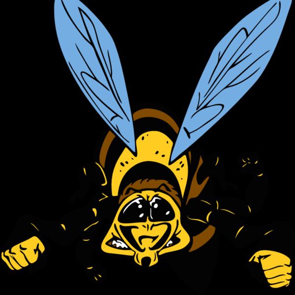 waspmsct01 Thumbnail
