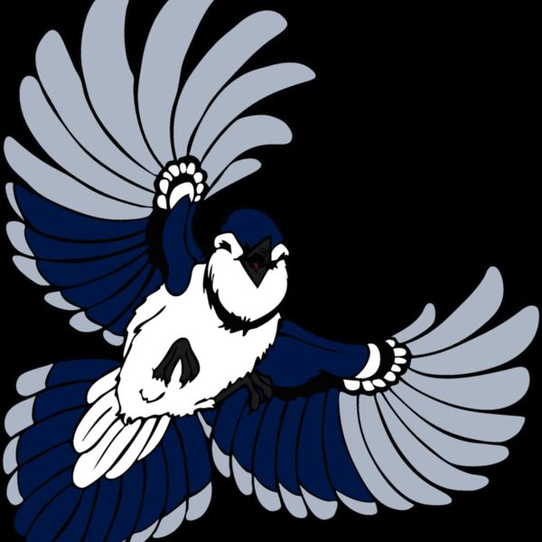 bluejay16 Thumbnail