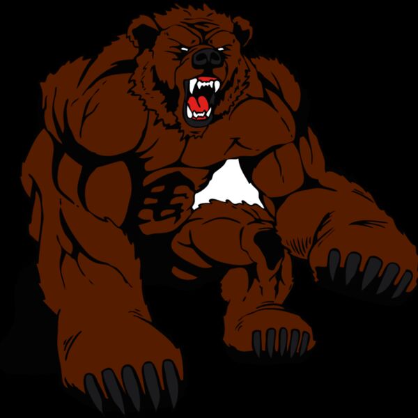 bearswipe Thumbnail
