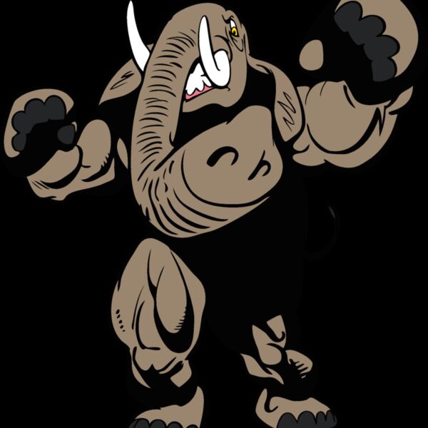 elephantmsct1 Thumbnail