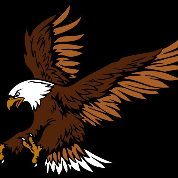 eagle01 Thumbnail