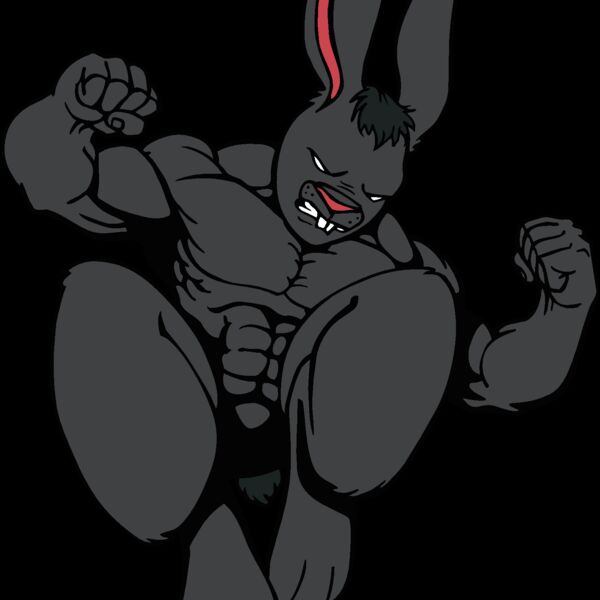 rabbitbn2 Thumbnail