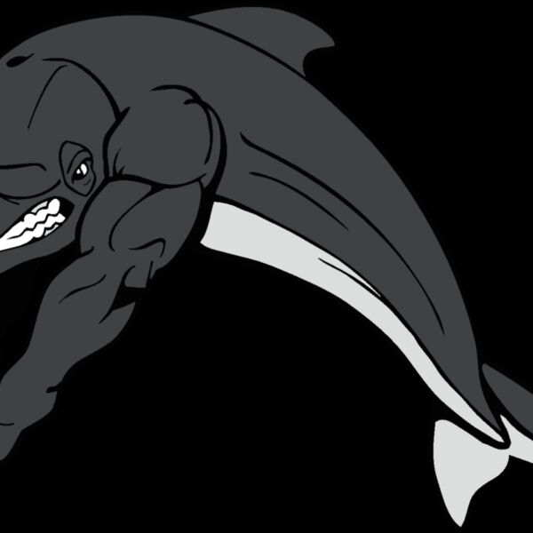 dolphinswm2 Thumbnail