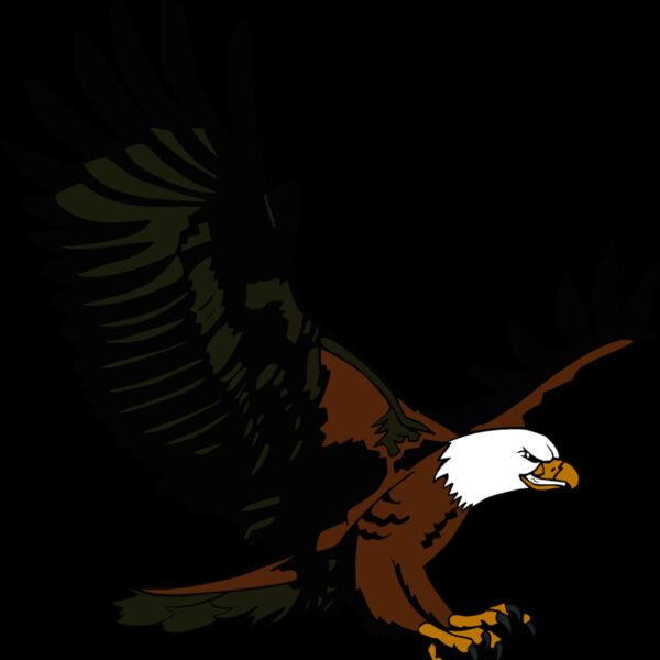 eaglefly1 Thumbnail