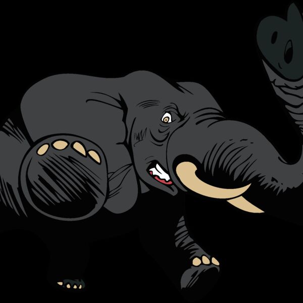 elephant2 Thumbnail