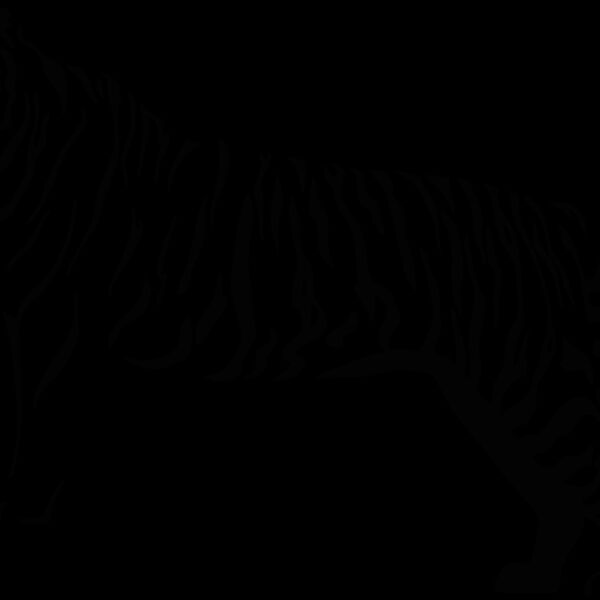 tiger24 Thumbnail