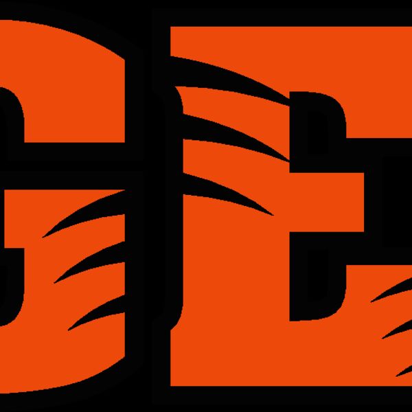 tigerlogo9v4clr Thumbnail