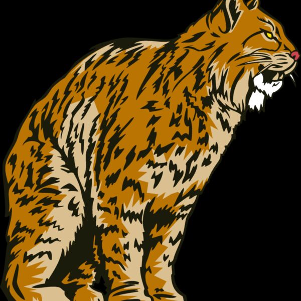 wildcat10 Thumbnail
