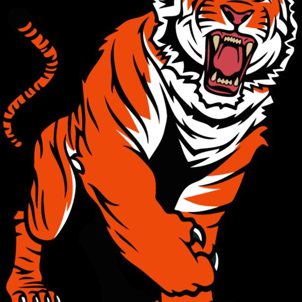 tigerc50 Thumbnail
