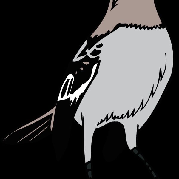 arkansasmockingbird1 Thumbnail