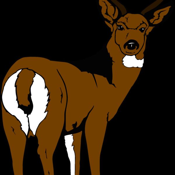 muledeer Thumbnail