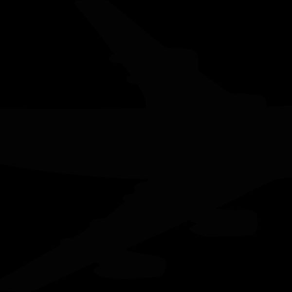 airplane2 Thumbnail