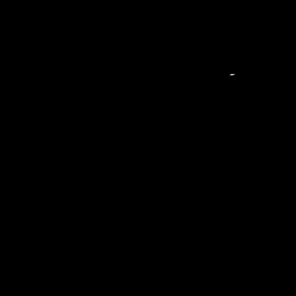 wochr Thumbnail