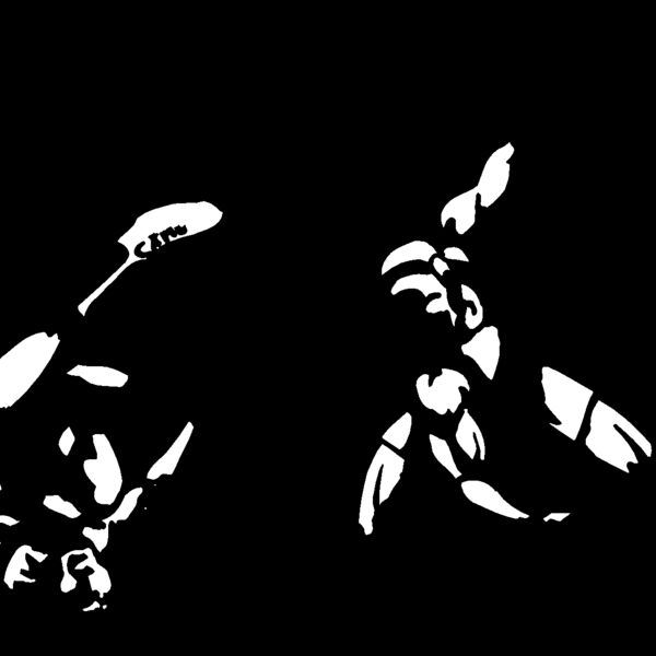 wrst13 Thumbnail