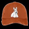 Distressed Cap Thumbnail
