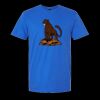 Softstyle® T-Shirt Thumbnail