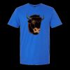 Softstyle® T-Shirt Thumbnail